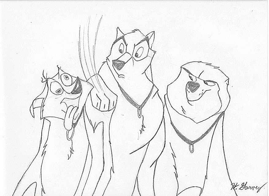 Nikki,Kaltag,and Star
