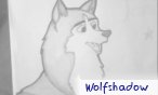 wolfshadow