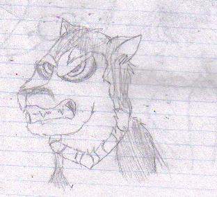 Sketch