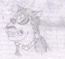 Sketch