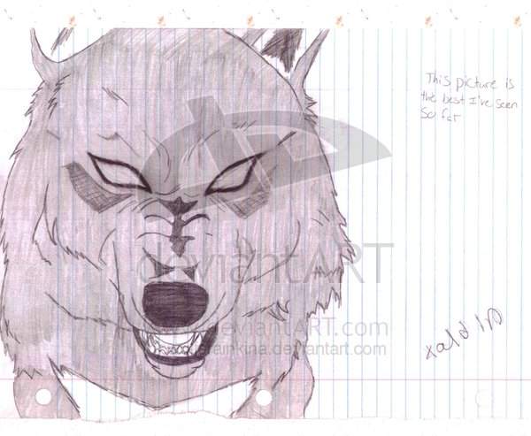 Xaldin