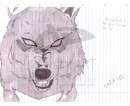 Xaldin