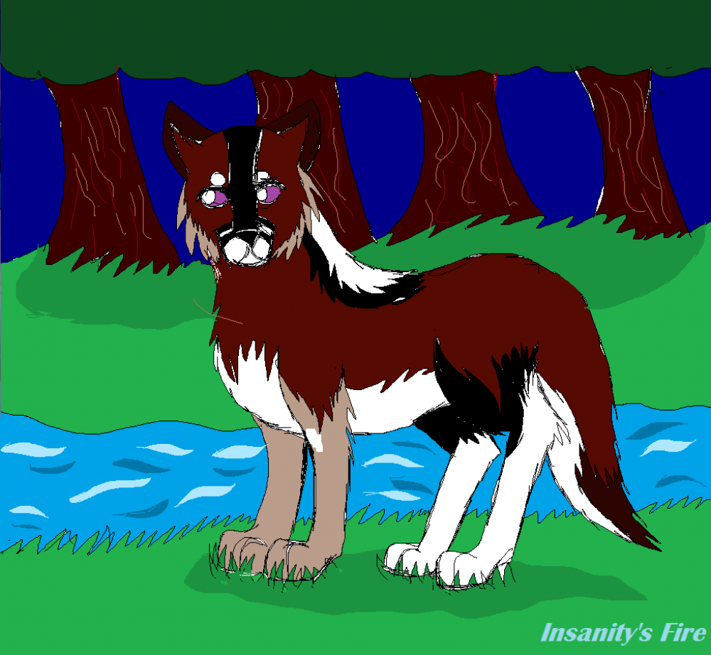 Gifty for ShantraiWolfDog