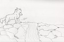 Wolf crossing a waterfall