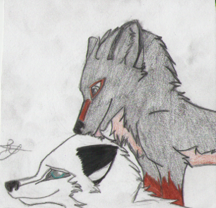 Tarrakai
