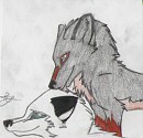 Tarrakai