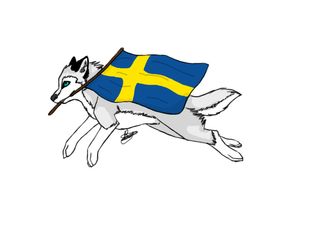 Sverige wolf!