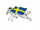Sverige wolf!