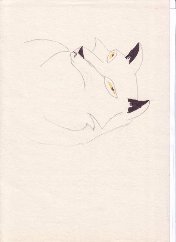 Aniou