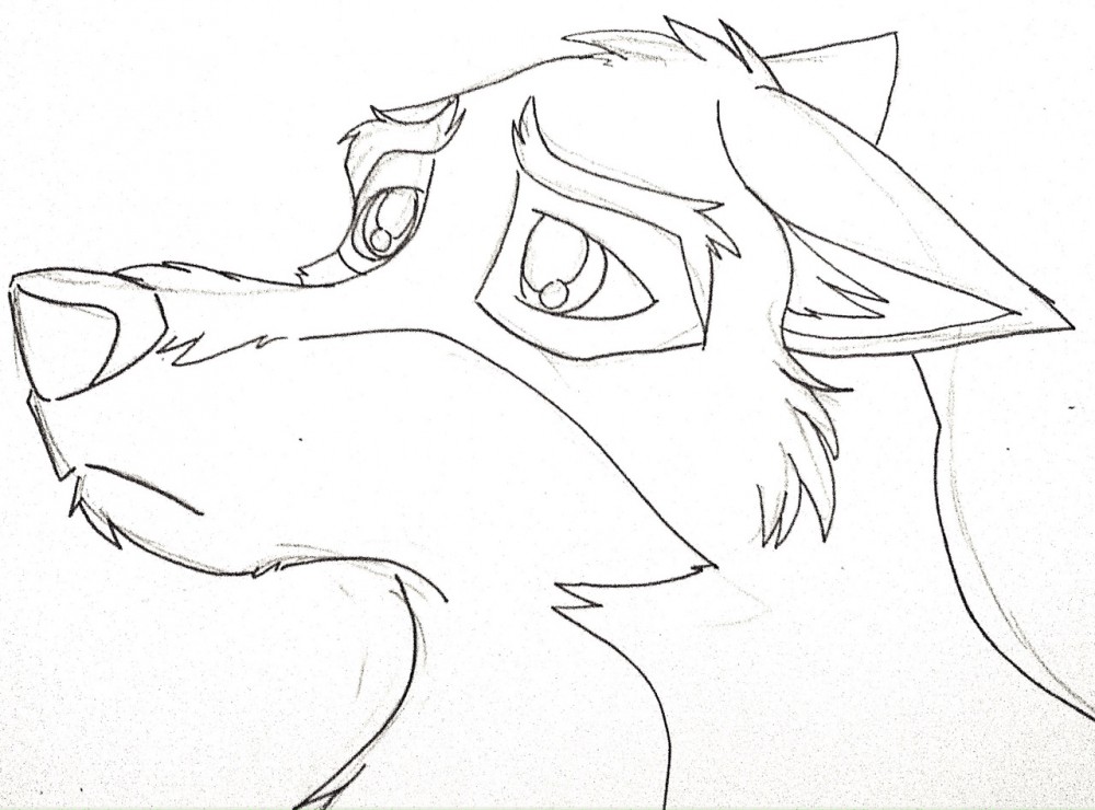 Why so glum, chum?