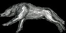 White Wolf Furious.