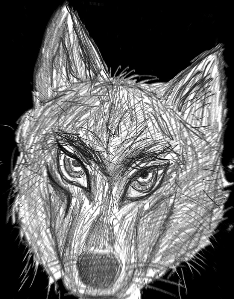 Graydy