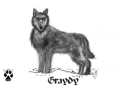 Graydy