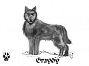 Graydy