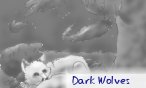 Dark Wolves