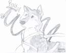 Balto
