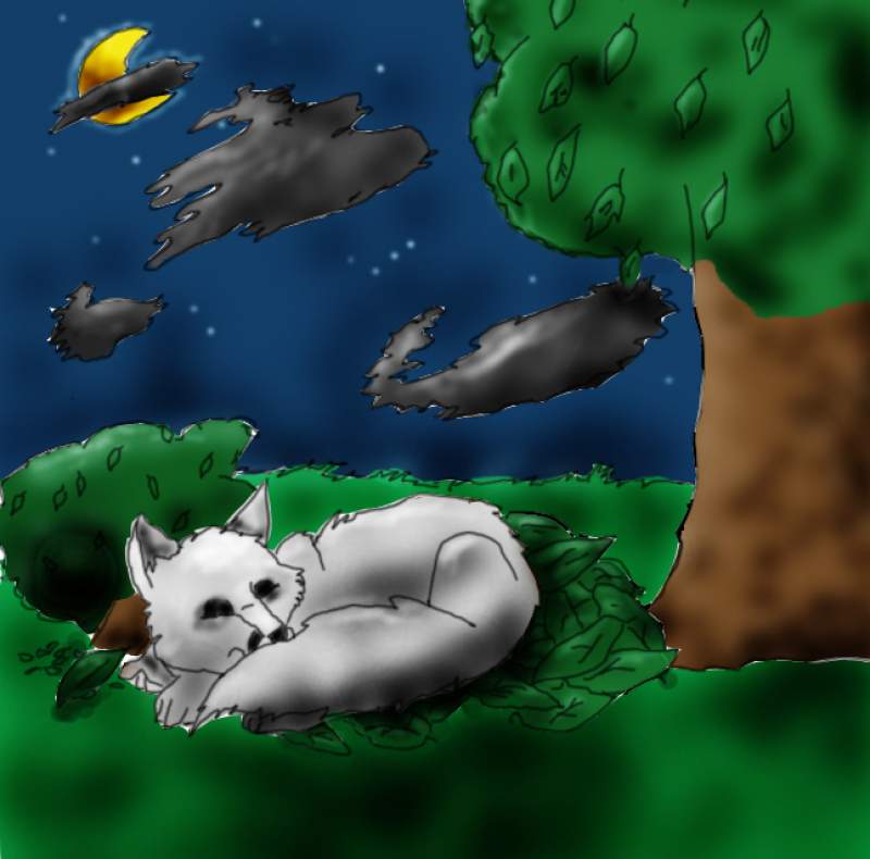 Gem Sleeping (in color)