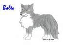 Balto