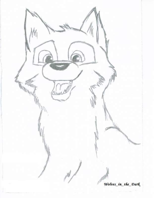 Balto Puppy