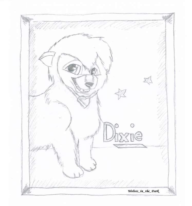 Dixie