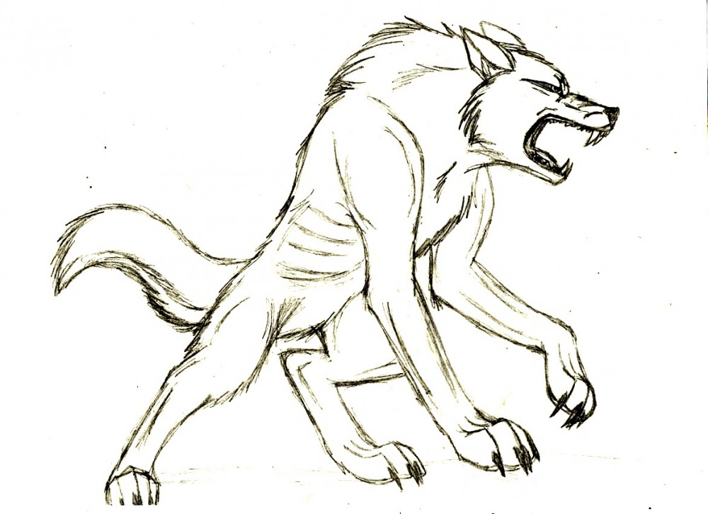 Lineart Loup