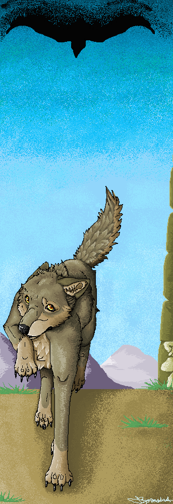 Contest Entry