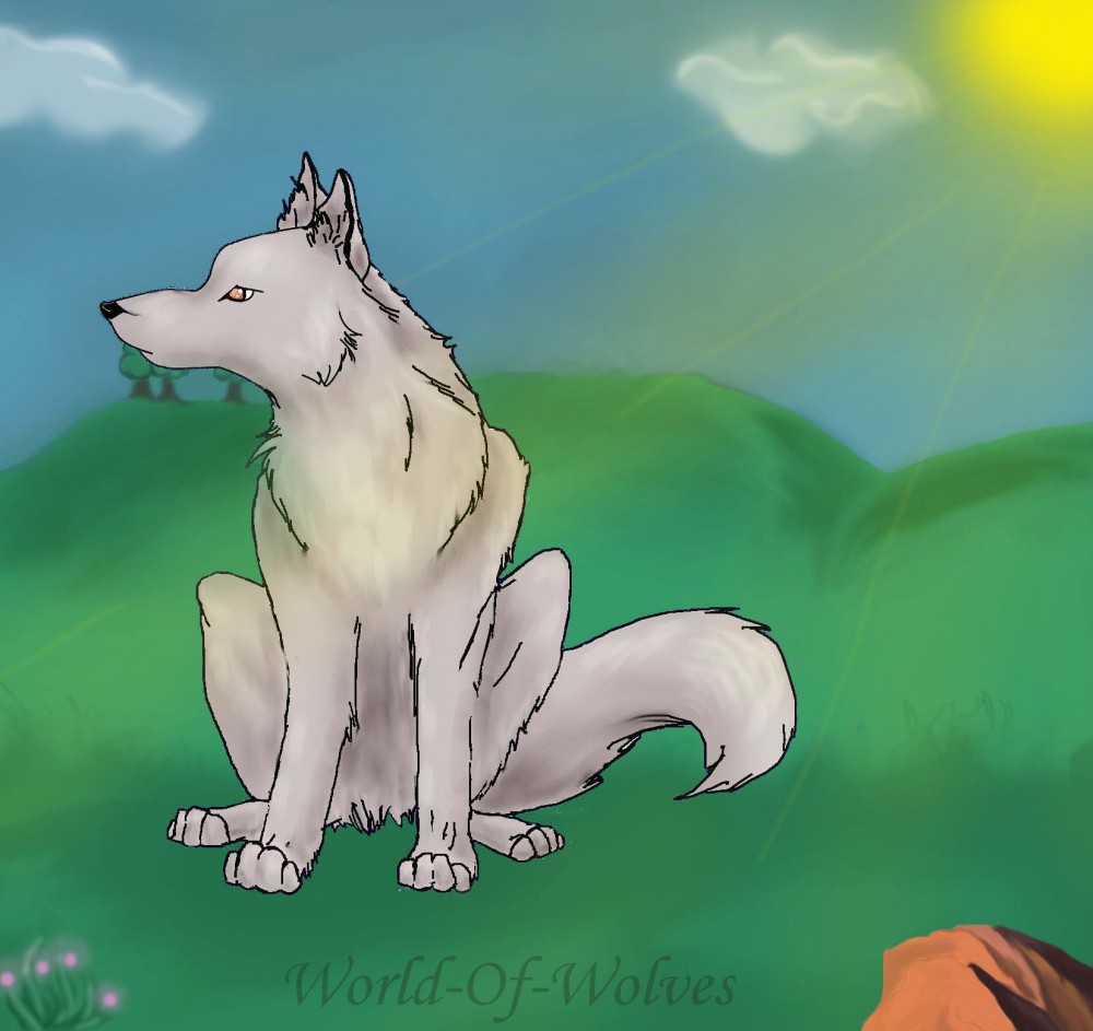 test tablette :)