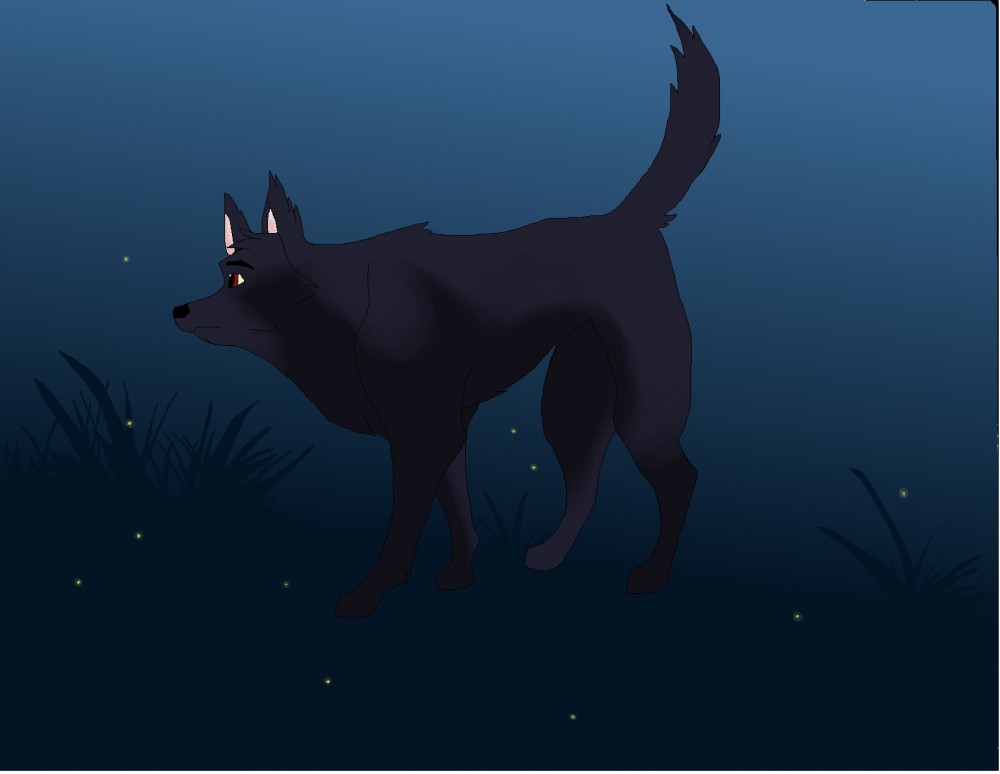 Fireflies