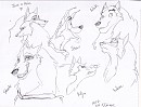 Oodles of  doodles 