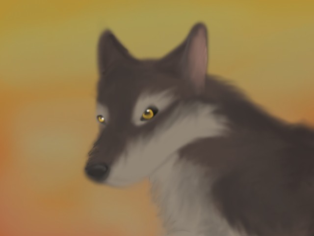 Balto