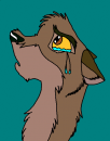 poor balto