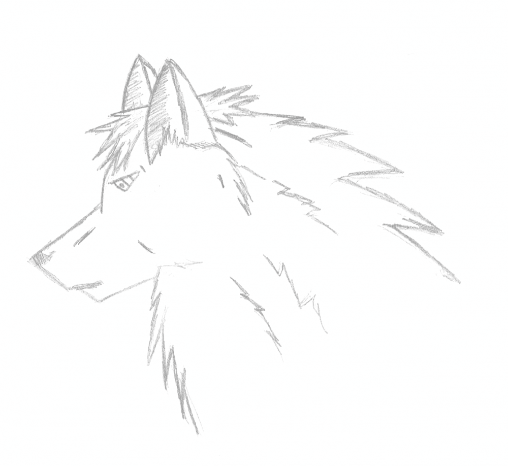 a old version of skar paw