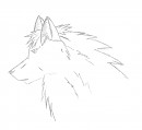 a old version of skar paw