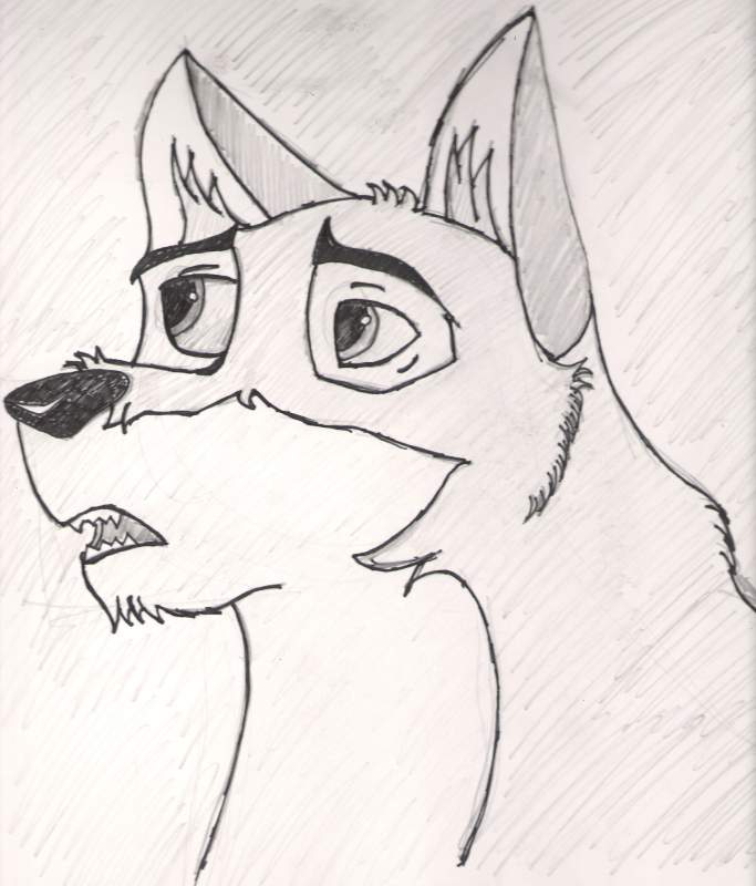 Balto