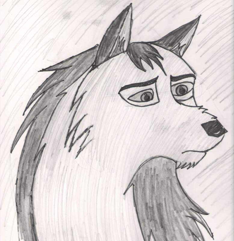 Wolf