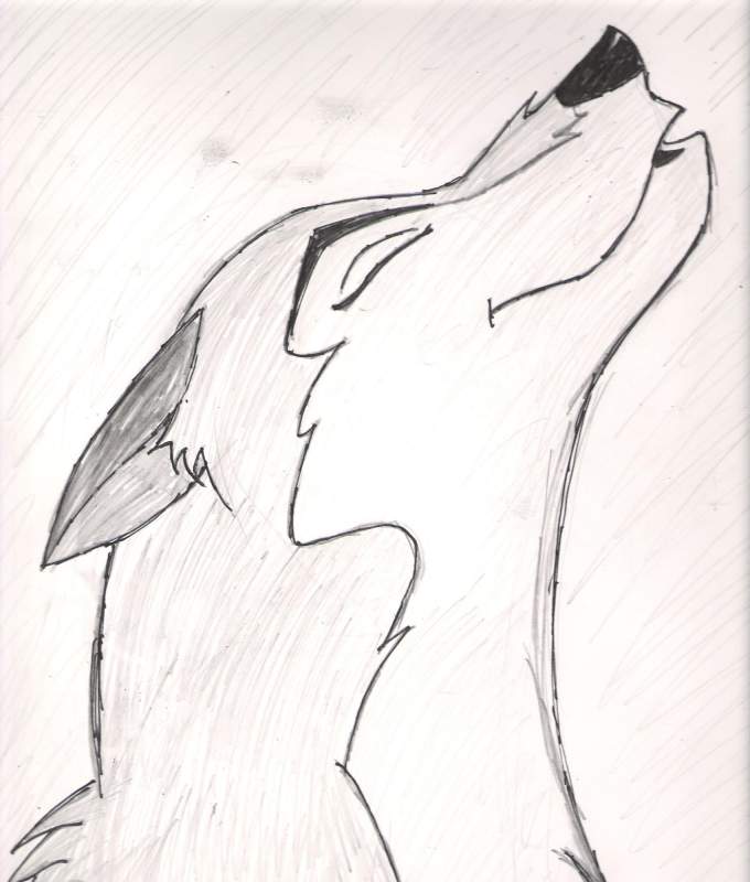 Aleu