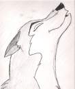 Aleu