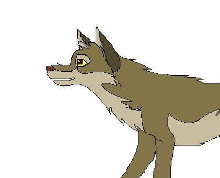 Balto