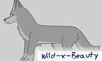 Wild-x-Beauty