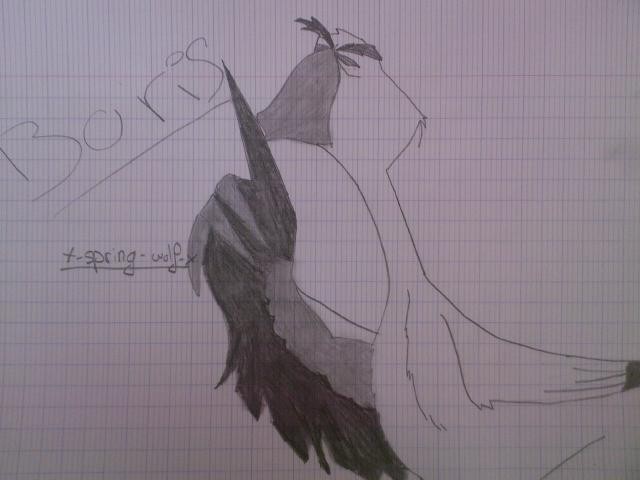 boris mon dessin