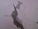 boris mon dessin