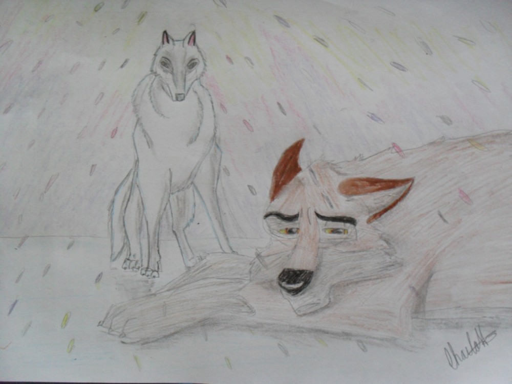 Courage balto !