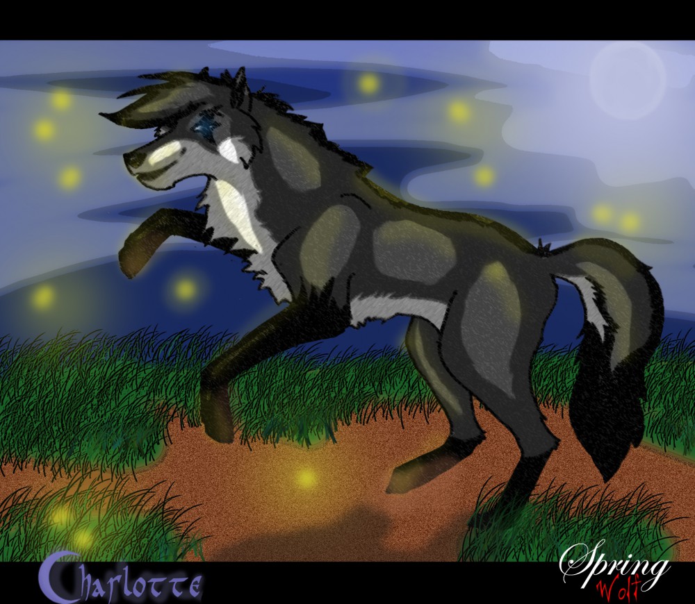 fireflies