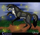 fireflies