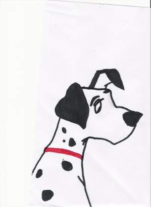 Pongo