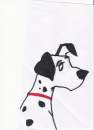 Pongo