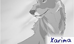 Xarima