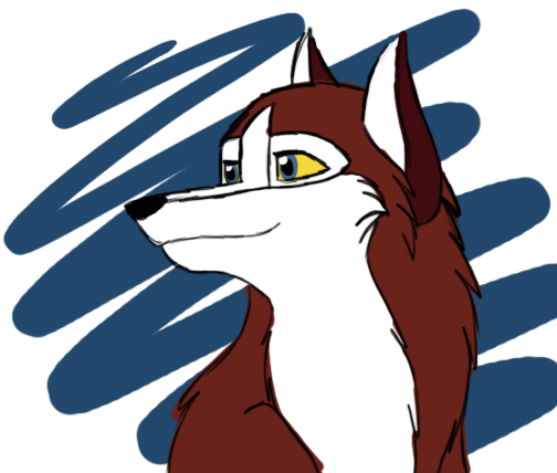Dingo's Colours