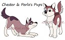 Chester and Perla Pups