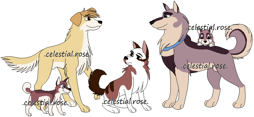 Random group